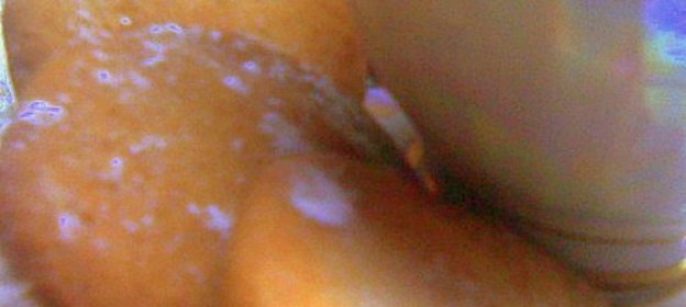 Имбирное печенье