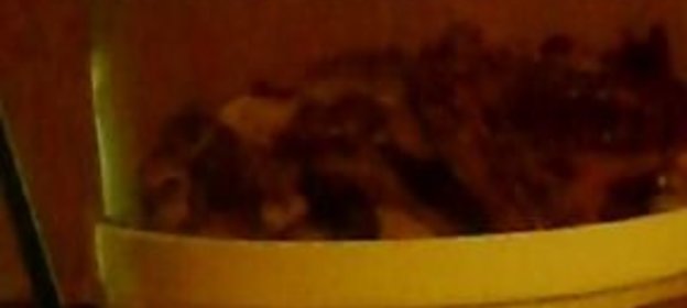 Утка, тушенная в сметане