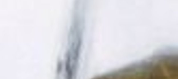 Приправа из красной смородины и настурции