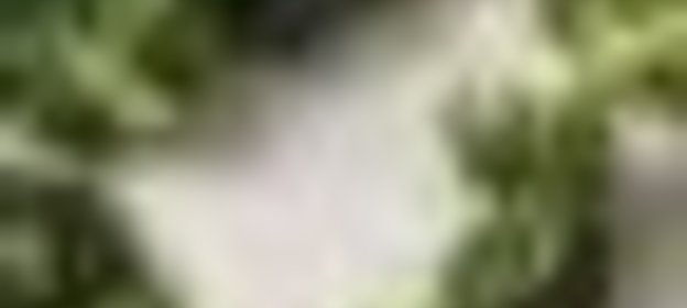 Салат из сельди с овощами