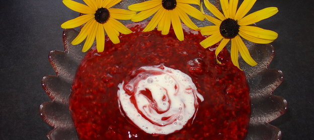 Ягодный десерт с ванильным соусом. Rote Grütze