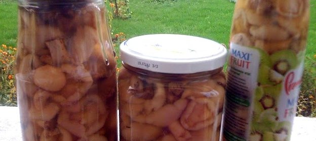 Маринованные маслята жареные