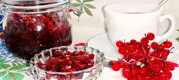 Калина с мёдом