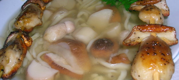 Лапша домашняя с белыми грибами + бонус в виде мини-шашлычков ( рецепт НЕпровинившегося мужа )