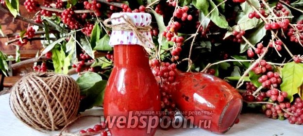 Соус из красной облепихи
