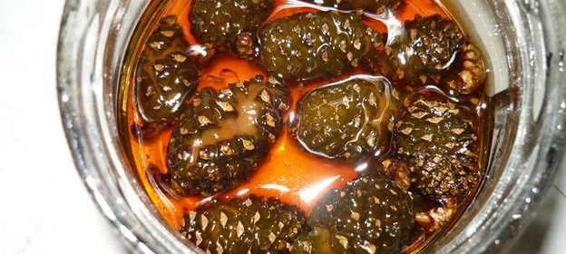 варение из сосновых шишек