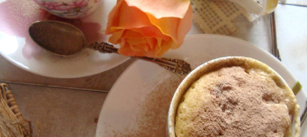 Кекс на шоколадном йогурте с клюквой из СВЧ