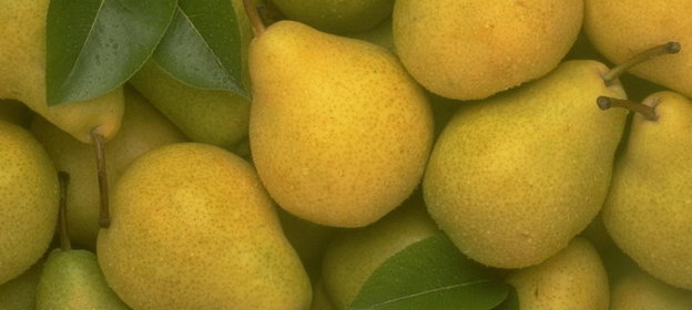 Груши в анисовом сиропе и шоколаде