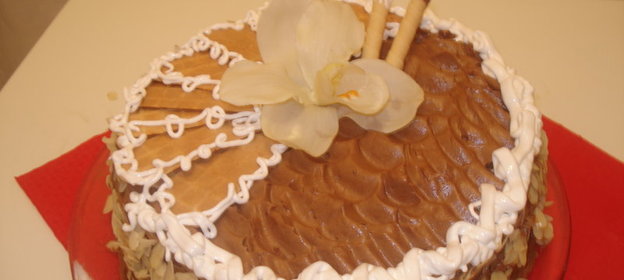 торт безе шоколадныйТАТЬЯНИН ДЕНЬ