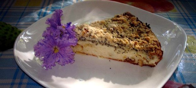 Запеканка творожная с изюмом шоколадом и маковым штрейзелем