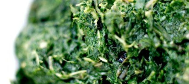 Салат, приготовленный в блендере