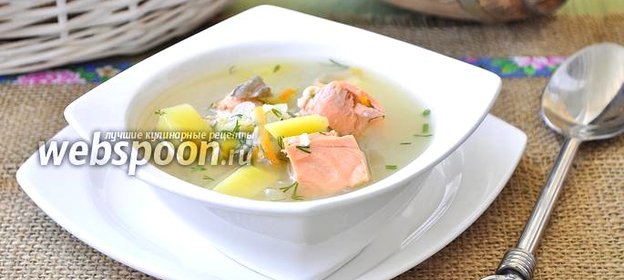 Уха из кеты