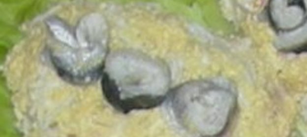 Шуба по китайски