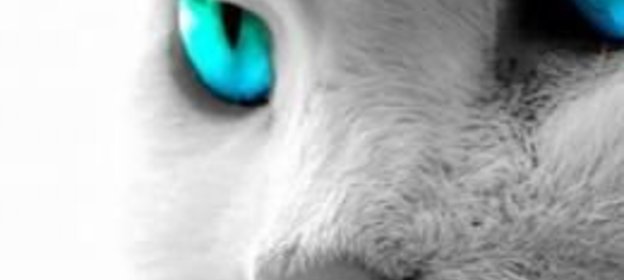 Приправа из йогурта