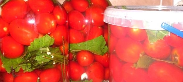 Соленые помидоры без закатки