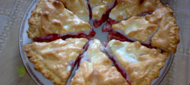 Крылышки под шубой