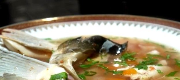 Уха из головы сазана