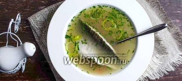 Уха из сибаса