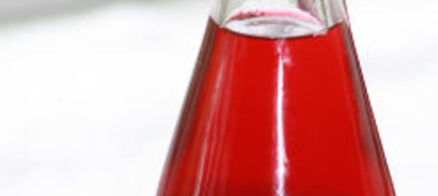 Грибы тушеные с помидорами