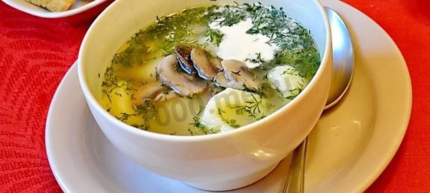 Грибной суп на мясном бульоне