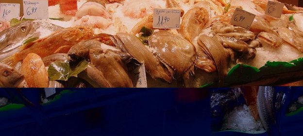 уха / рыбный суп /