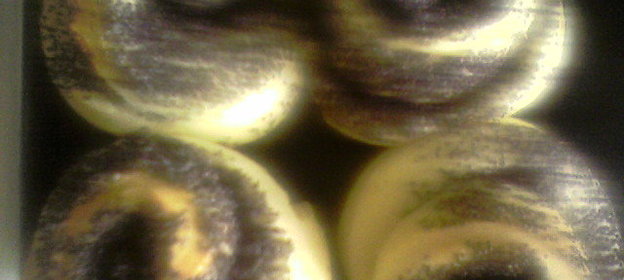 Хочется солененького