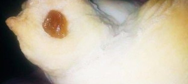 Уха из свежей рыбы