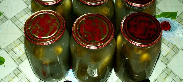 Соленые огурцы под закатку