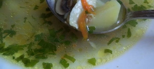 Грибной суп на курином бульоне
