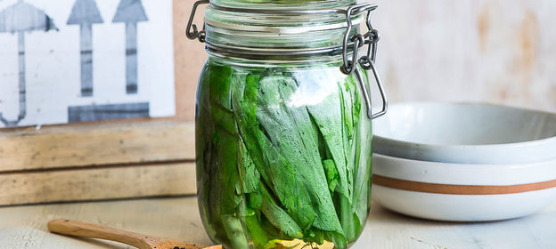 Соленая черемша на зиму