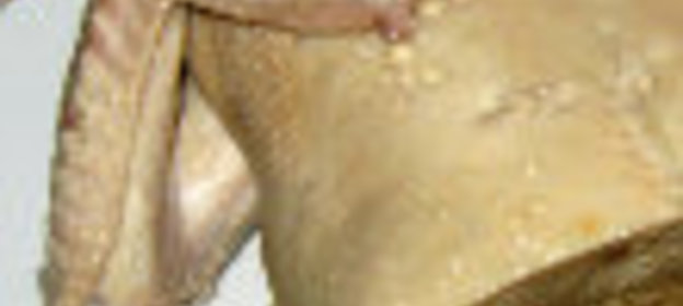 Желе из простокваши