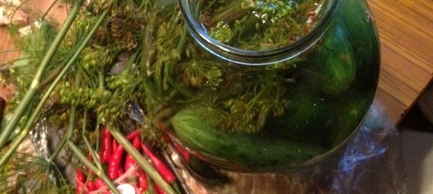 Соленые огурцы с эстрагоном и листьями