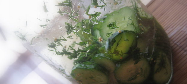 Огурчики в медово-укропном маринаде