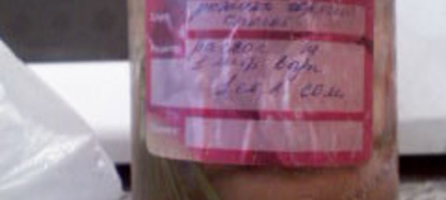 Консервация: Рыжики соленные /холодный способ/