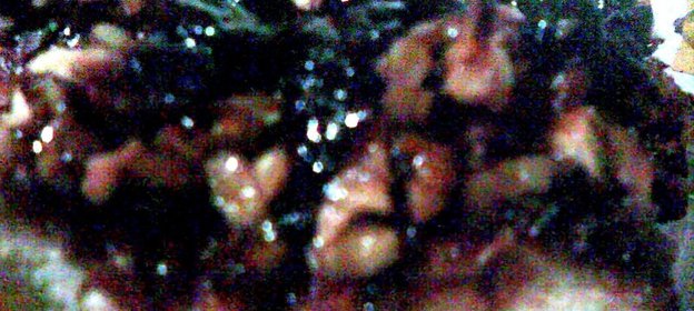 Бананны с кофейным соусом