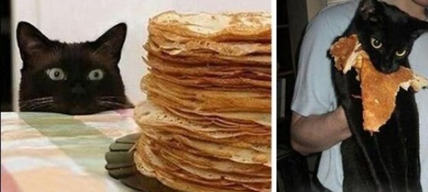 Уха рыбацкая