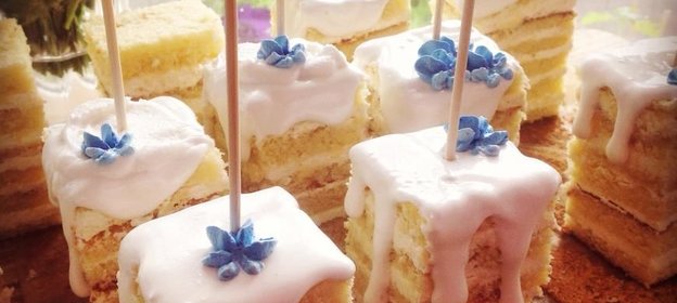 Скваеры на палочках