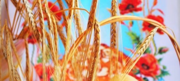 Жемле (югославская булочка)