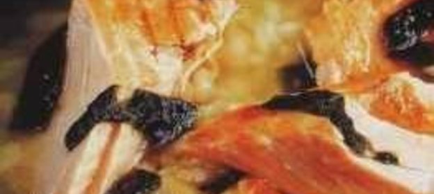 Торт с кофейным кремом