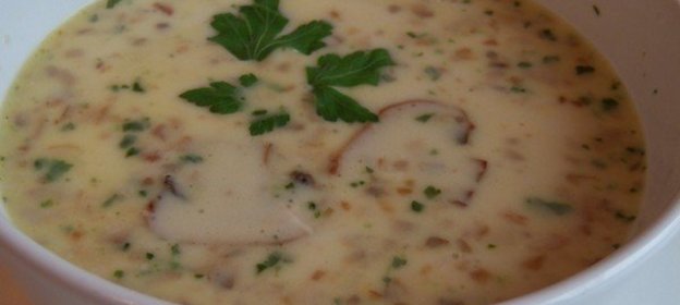 грибной капучино