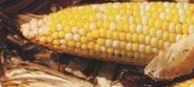 Салат из малины в желе