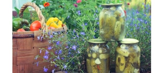 Соленые огурцы консервированные