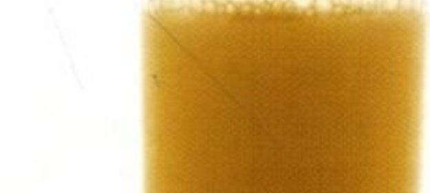 Голубцы, завернутые в листья белокачанной капусты