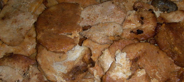 стейки индюшачьи