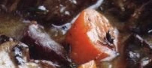 Яичница с сыром и солеными огурцами