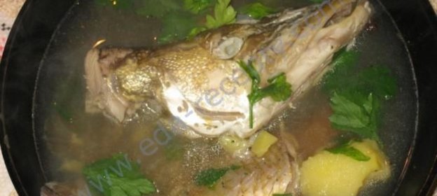 Уха щучья по-еврейски