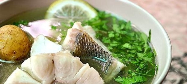 Уха рыбацкая