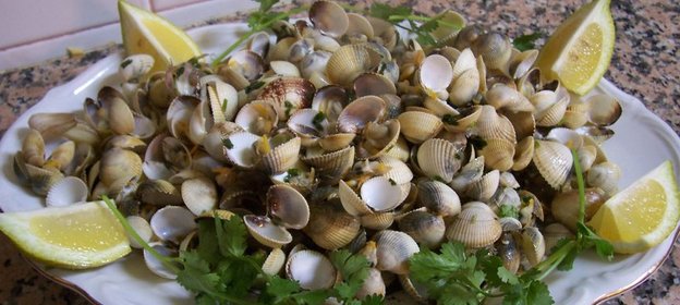 Ракушки Морские