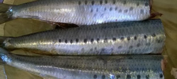 Селедка иваси под шубой