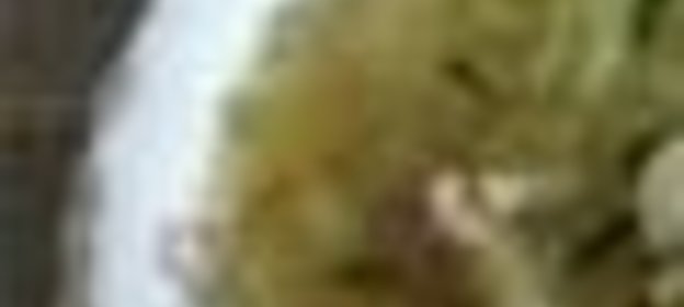 Щи из свежей капусты